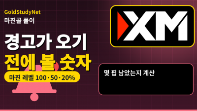 FX 마진콜 뜻, 경고 메시지가 오기 전에 확인할 숫자들