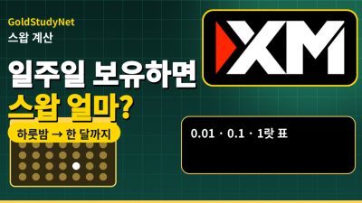 FX 스왑 수수료 계산, 일주일 보유하면 얼마나 될까요?