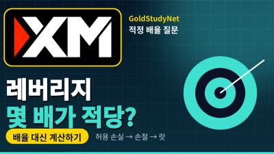 FX 레버리지 몇 배가 적당할까요? 배율 대신 계산해 볼 세 가지
