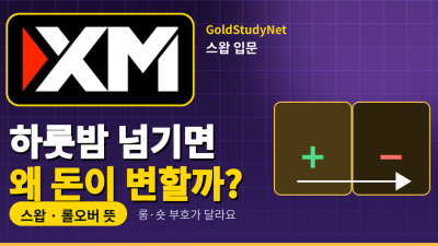 FX 스왑 뜻, 포지션을 하루 넘기면 왜 돈이 늘거나 줄어드는 걸까요?