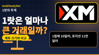 FX 1랏은 얼마나 큰 거래일까요? 계좌 크기와 나란히 놓고 비교해 봤어요