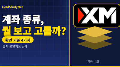 XM 계좌 종류 비교, 고르기 전에 확인할 기준 4가지