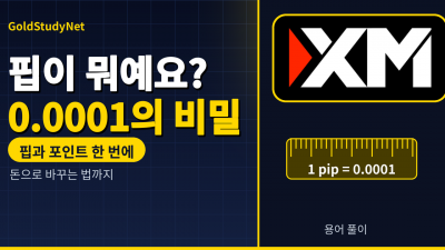 FX 핍 뜻, 숫자 0.0001이 돈으로 바뀌는 순간을 쉽게 설명해 드려요