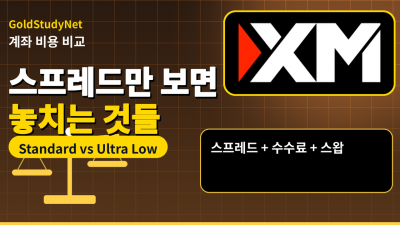 XM Standard와 Ultra Low 차이, 스프레드만 보면 놓치는 것들